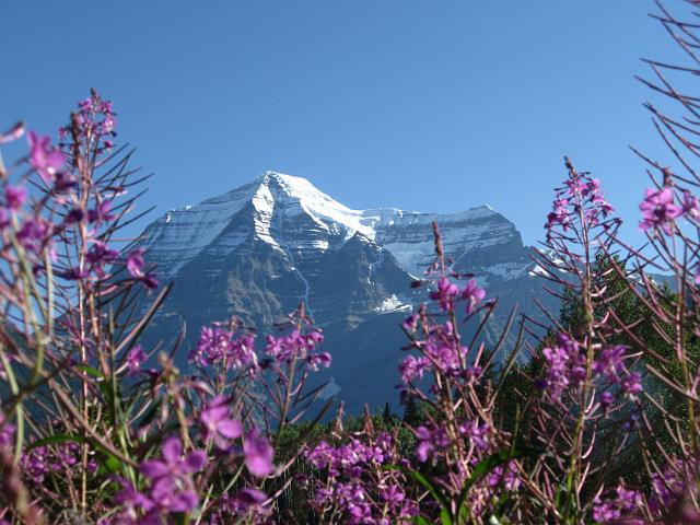 Canadian Rockies-351.JPG - Mt. Robson
